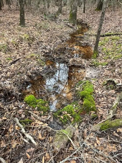 TBD Off Of County Road 2580, Colmesneil, TX 75938