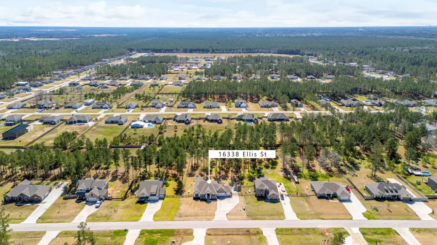 16338 Ellis Street, Conroe, TX 77303 - Image #2