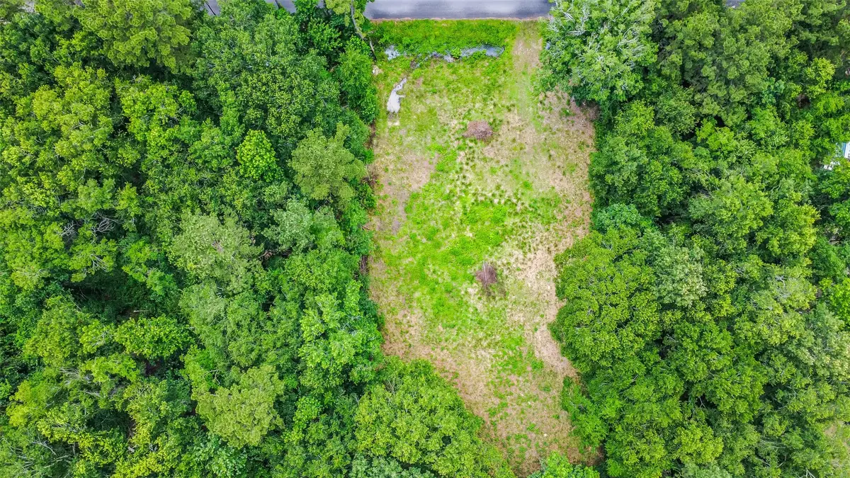 25596 Northampton, New Caney, TX 77357 - #1