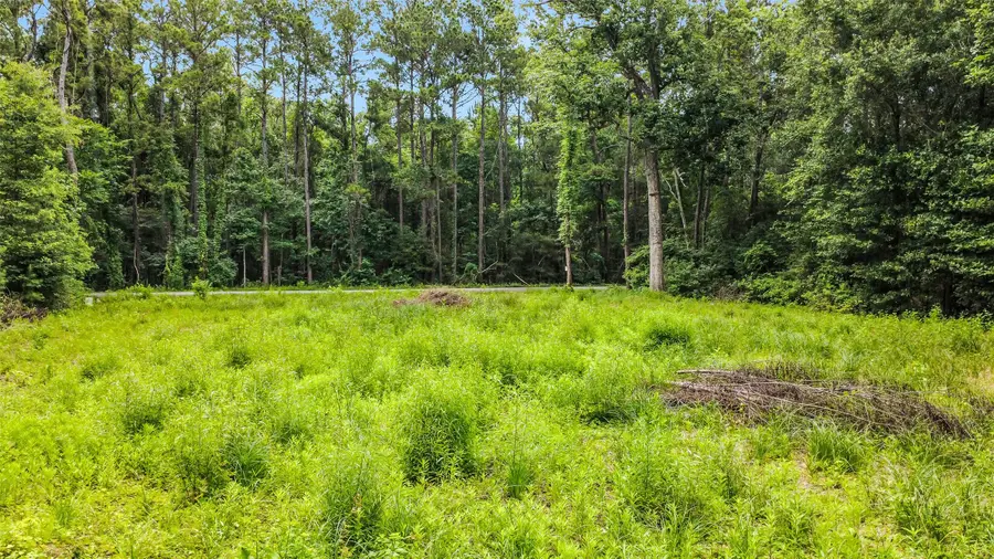 25596 Northampton, New Caney, TX 77357 - #3