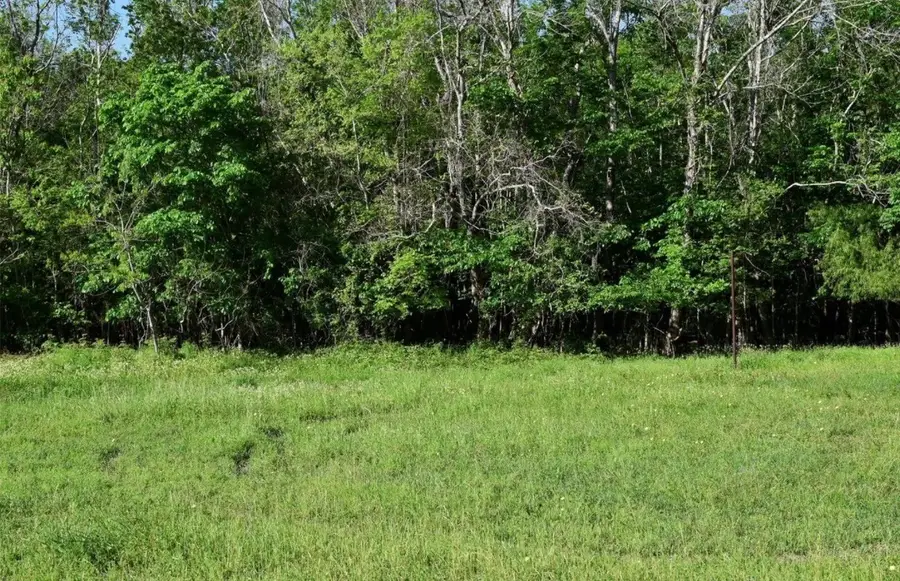 1439 County Road 878a, Sweeny, TX 77480 - #2