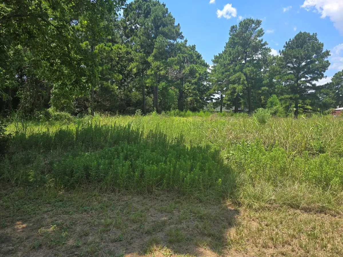 00 Ulrich Road Road, Tomball, TX 77375 - #1