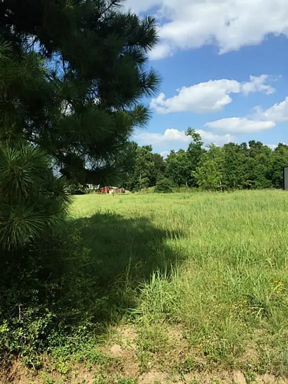 00 Ulrich Road Road, Tomball, TX 77375 - #2
