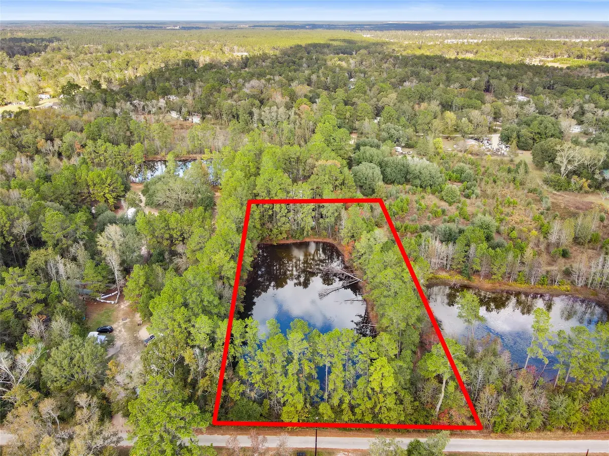 18186 Blackberry Road, Conroe, TX 77306 - #1