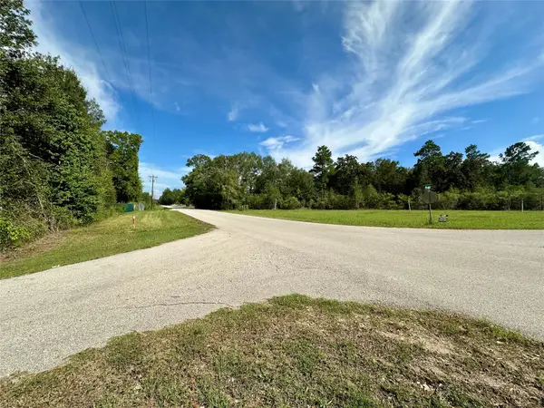 TBD N Country Wood Drive, Shepherd, TX 77371