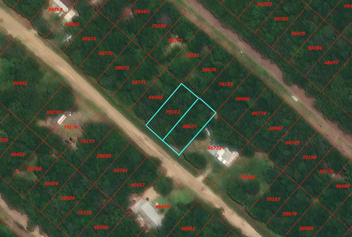 TBD Wolf Run, Livingston, TX 77351 - #1