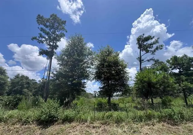 426 County Road 1420, Warren, TX 77664 - #1