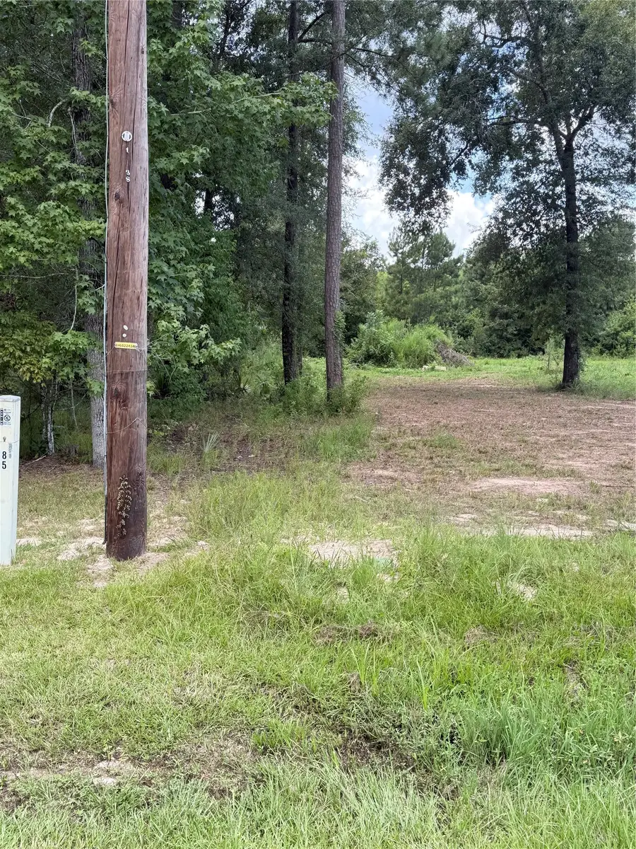 93 & 113 County Road 3669a Road, Splendora, TX 77372 - #2