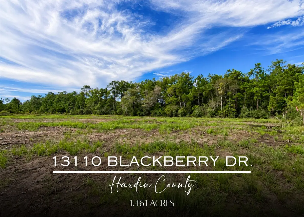 13110 Blackberry Drive, Lumberton, TX 77657 - #1