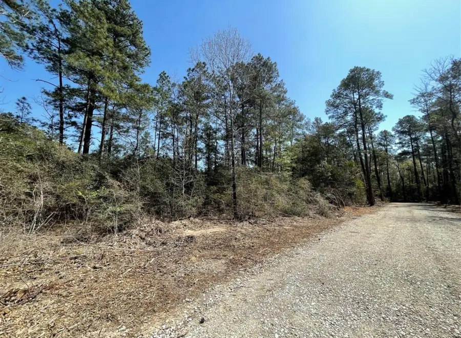 17040 E William Road, Conroe, TX 77303 - #2