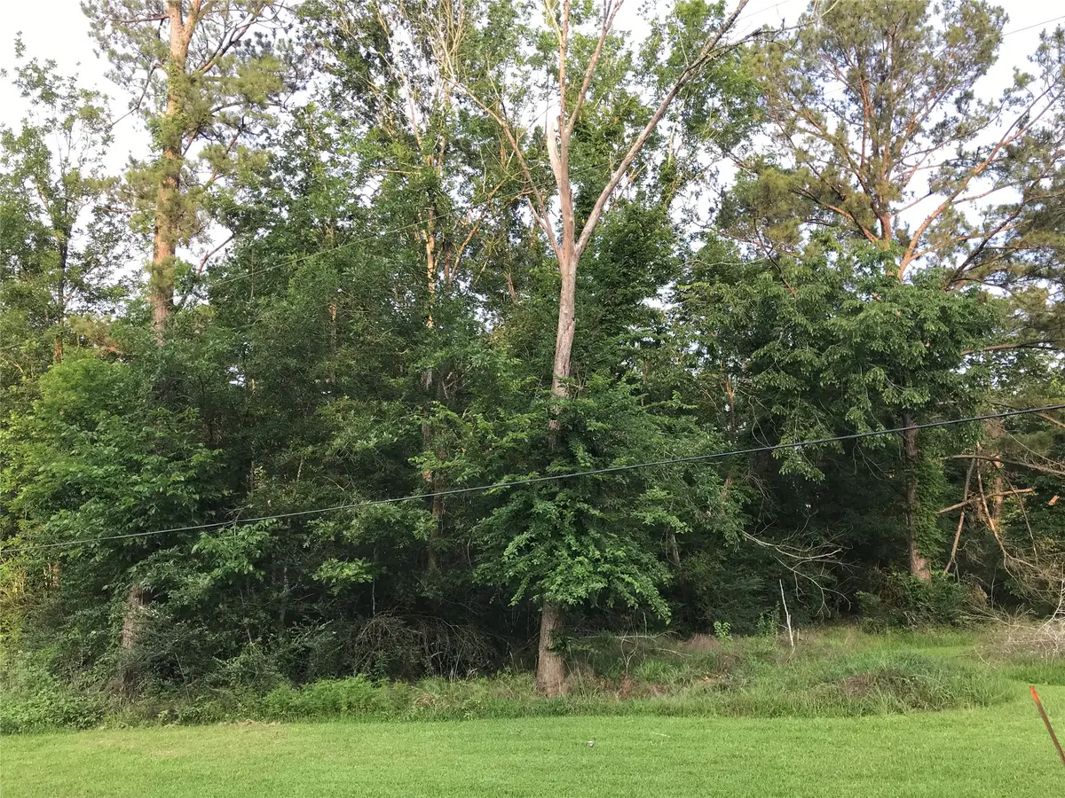 150 Lakeside Court, Goodrich, TX 77335 - #1