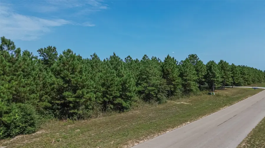 11997 High Branch Way, Willis, TX 77378 - #2