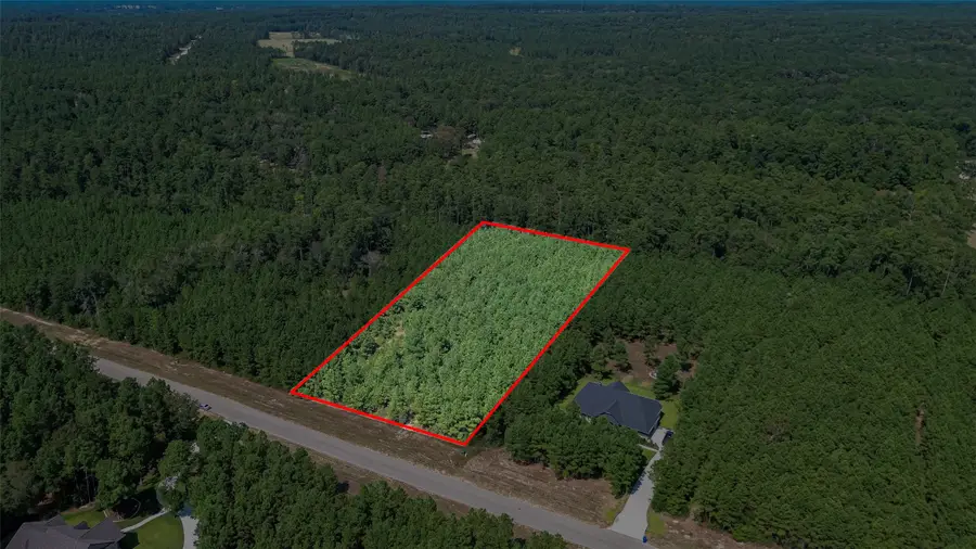11997 High Branch Way, Willis, TX 77378 - #3
