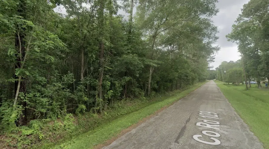 TBDlot2 County Road 129, Liberty, TX 77575 - Image #3