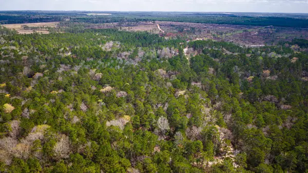 TBD Tract 5 Triple Creek Loop, Livingston, TX 77351
