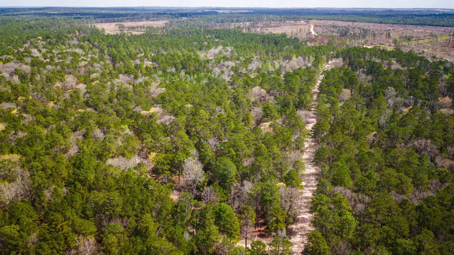 TBD Tract 5 Triple Creek Loop, Livingston, TX 77351 - #3