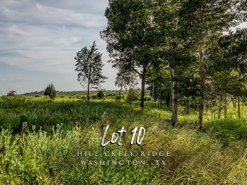 Lot 10 Hargrove Lane, Washington, TX 77880 - #1