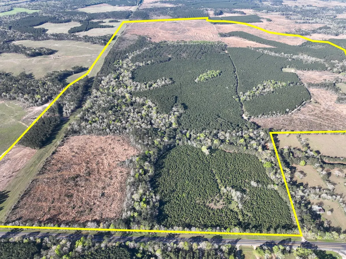 1 Granbury Rd, Livingston, TX 77351 - #1