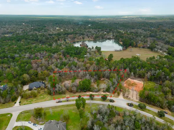 23506 High Meadow Estates Drive, Montgomery, TX 77316