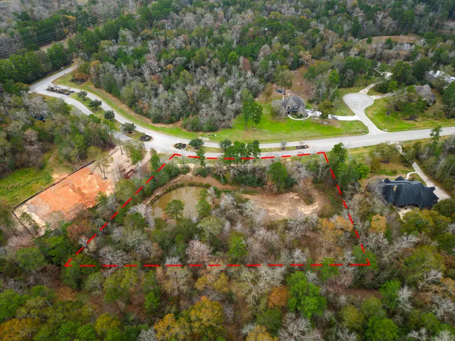 23506 High Meadow Estates Drive, Montgomery, TX 77316 - #2