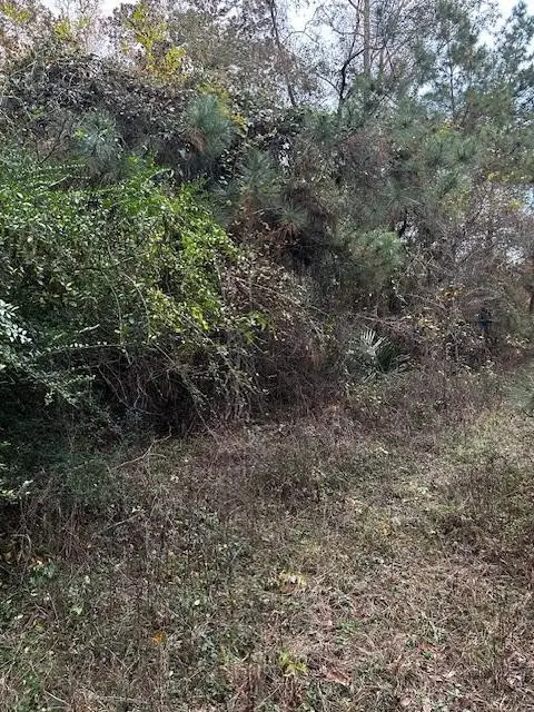 10 Ponderosa Circle, Conroe, TX 77302 - #3