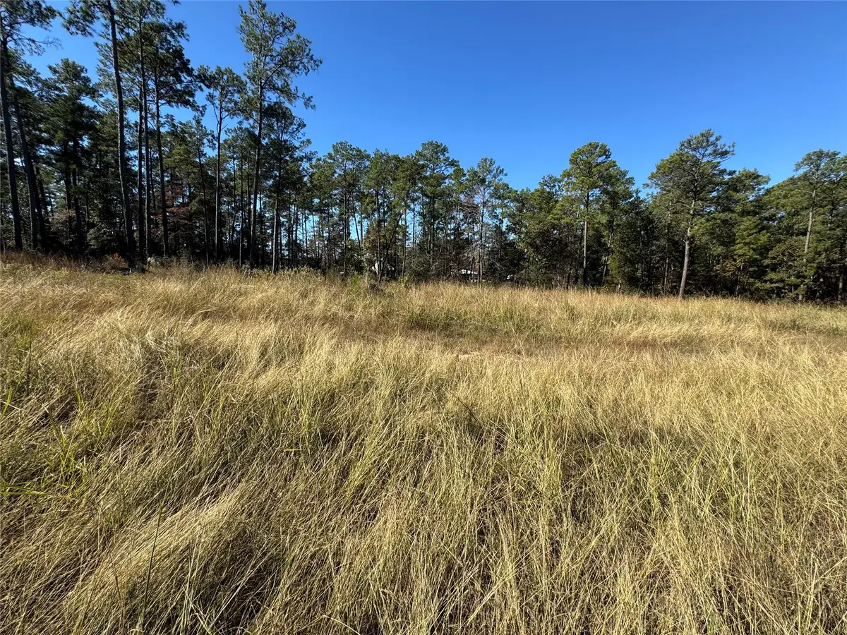 064 Private Road 6026 Tract 1-64, Brookeland, TX 75931 - Image #1