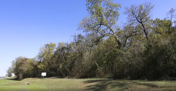 245 Crabb River, Richmond, TX 77469