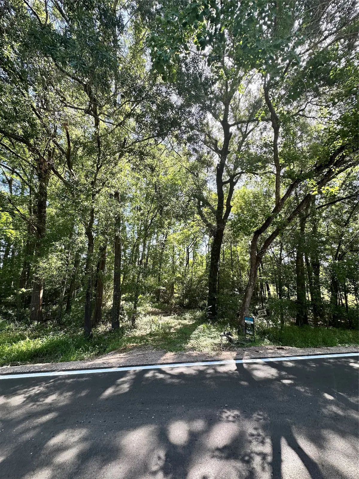 64 River Plantation Drive, Conroe, TX 77302 - #1