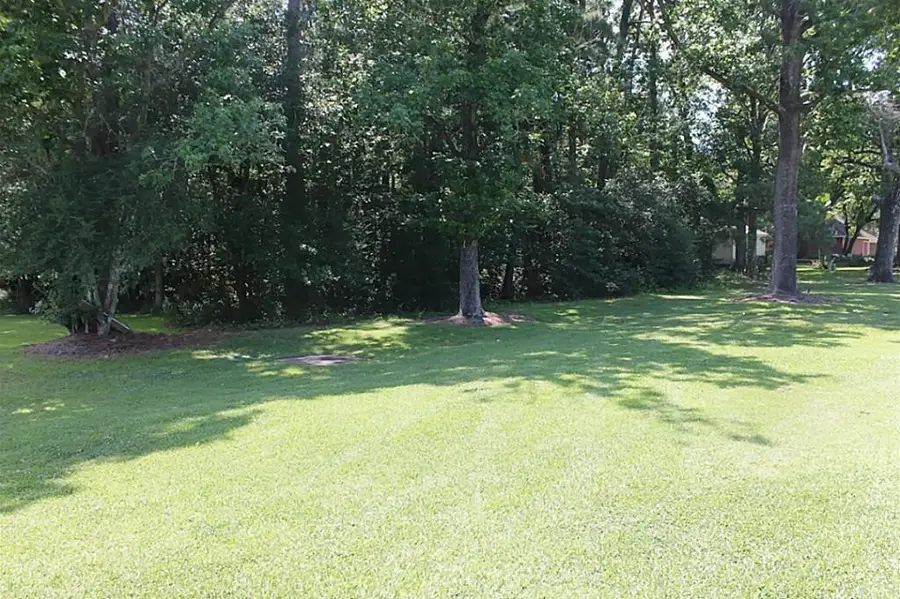 64 River Plantation Drive, Conroe, TX 77302 - #3