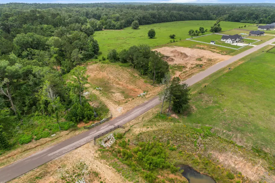 24827 Two Rivers Road, Montgomery, TX 77316 - Image #2