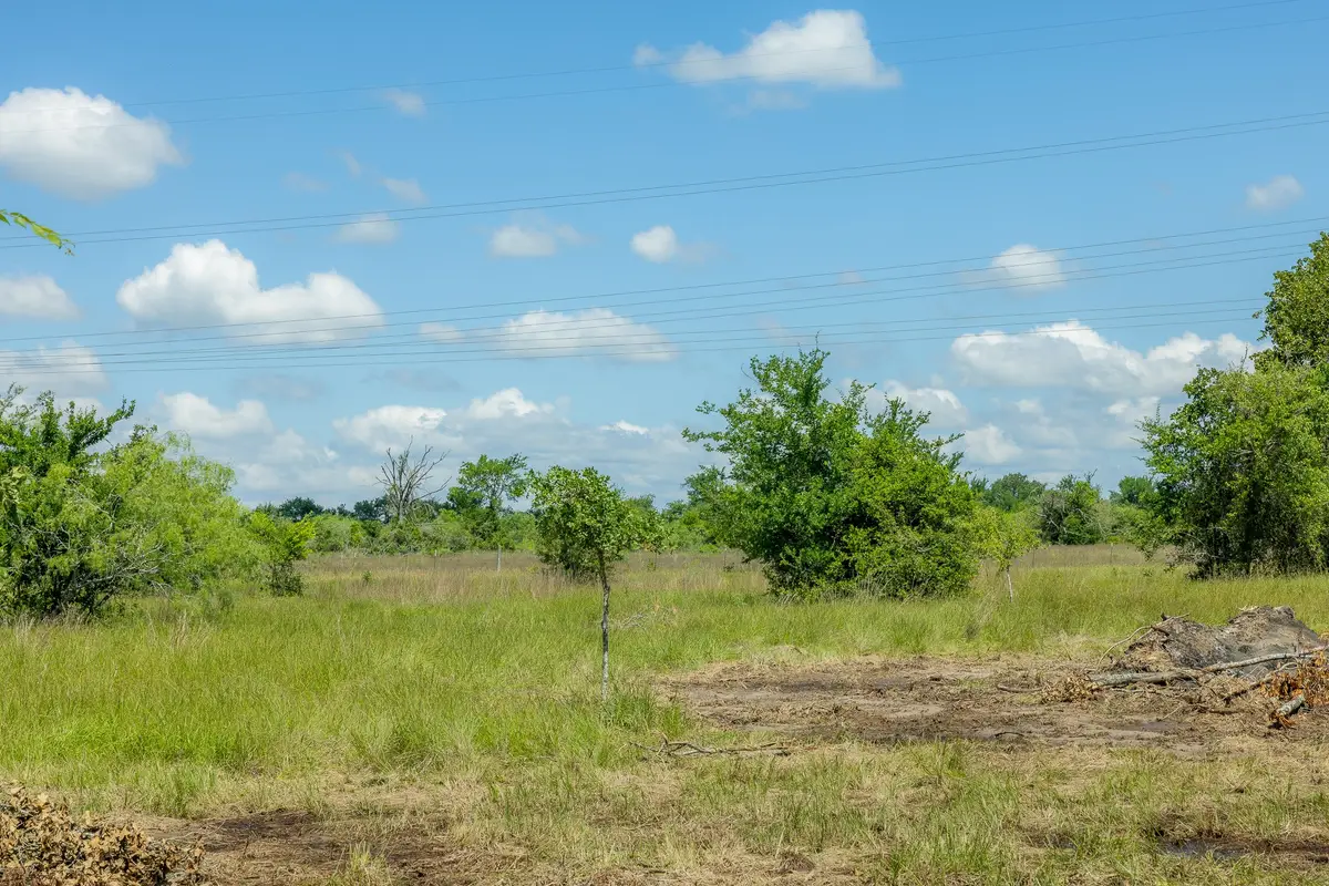 6549 Atakapan Trail, Bedias, TX 77831 - #1