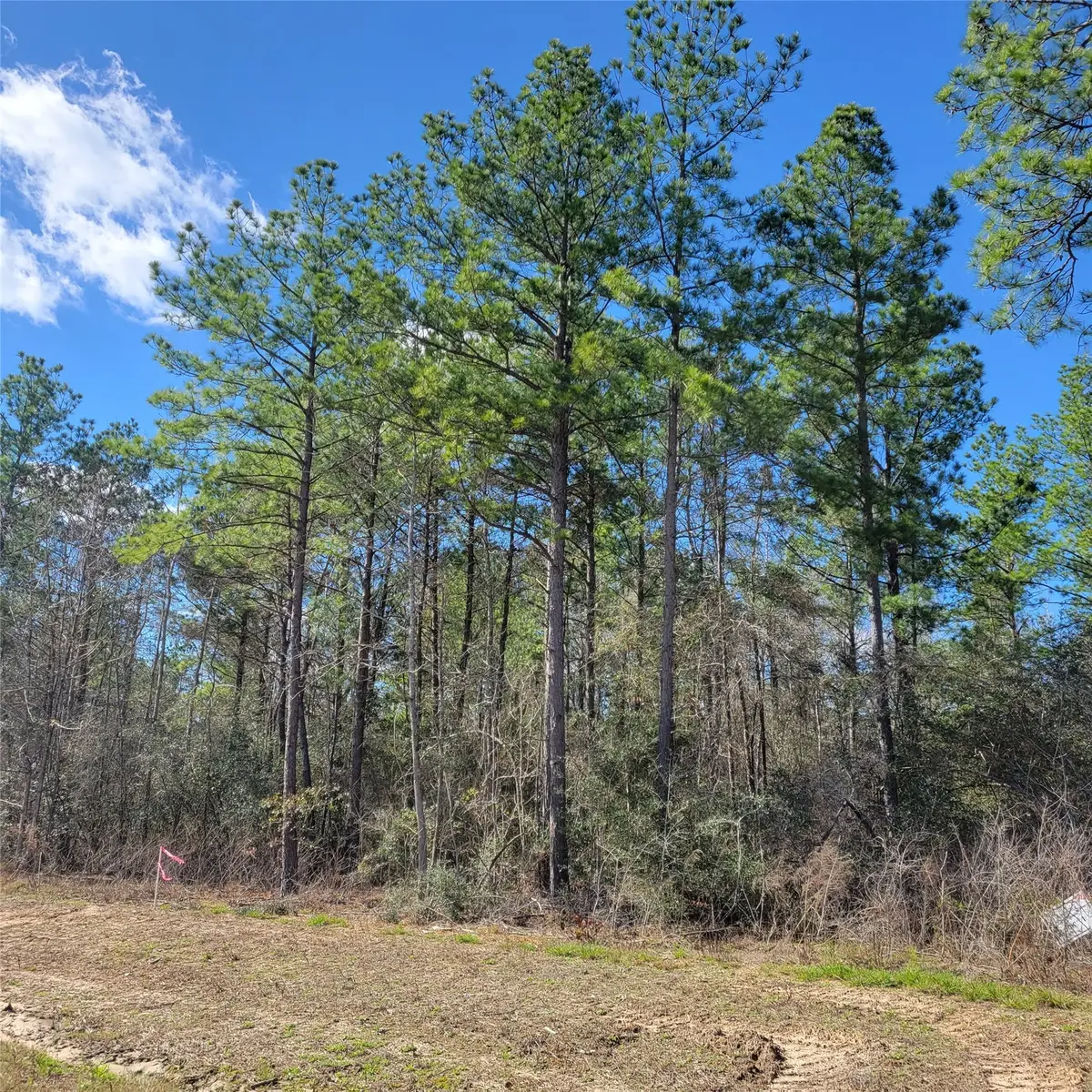 15835 Ridge Rock Road, Willis, TX 77378 - #1