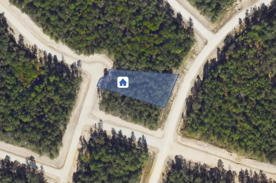 191 Heartland Road, New Waverly, TX 77358 - #2