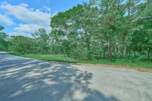 27592 S Log Cabin Road, Montgomery, TX 77356
