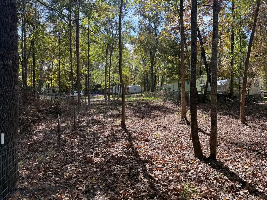 250 Beaver Run, Livingston, TX 77351 - Image #2