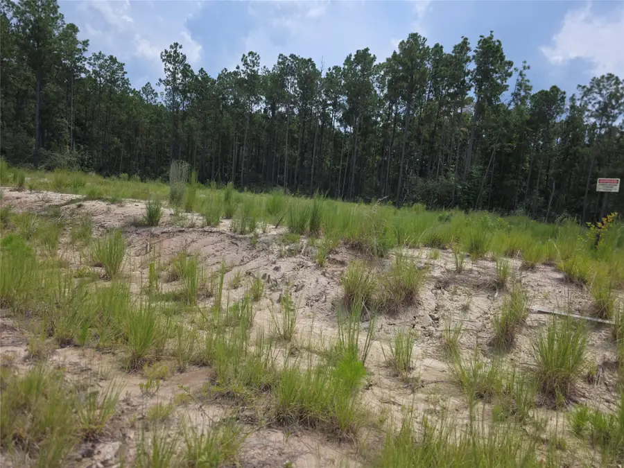 135 Rayburn Reserve Drive, Sam Rayburn, TX 75931 - #2