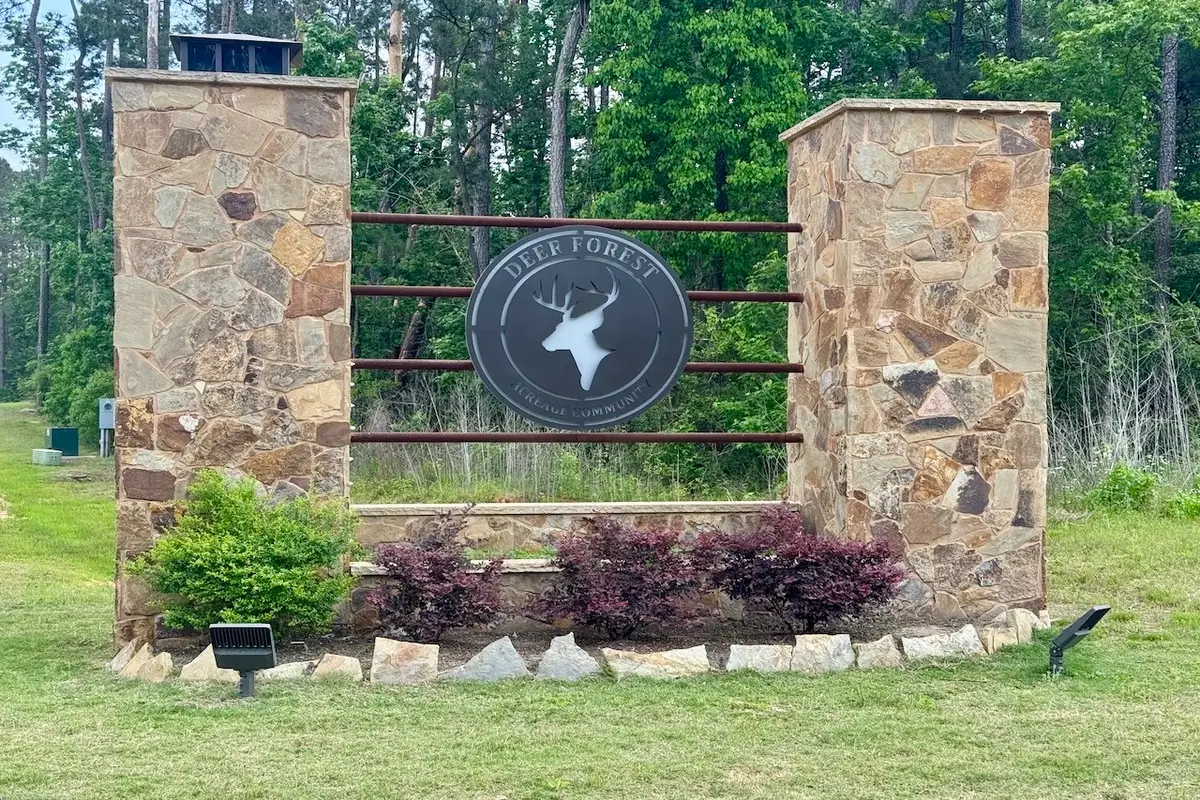 276 Exploration Road, New Waverly, TX 77358 - #1