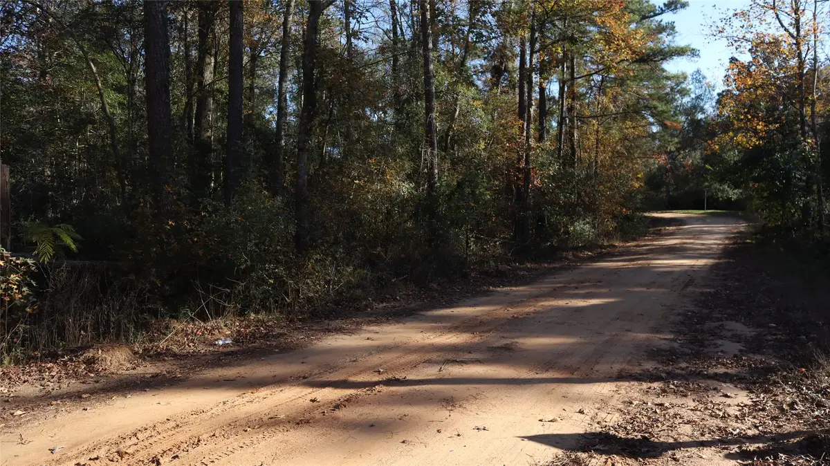 0 Mallard Drive, Coldspring, TX 77331 - #1