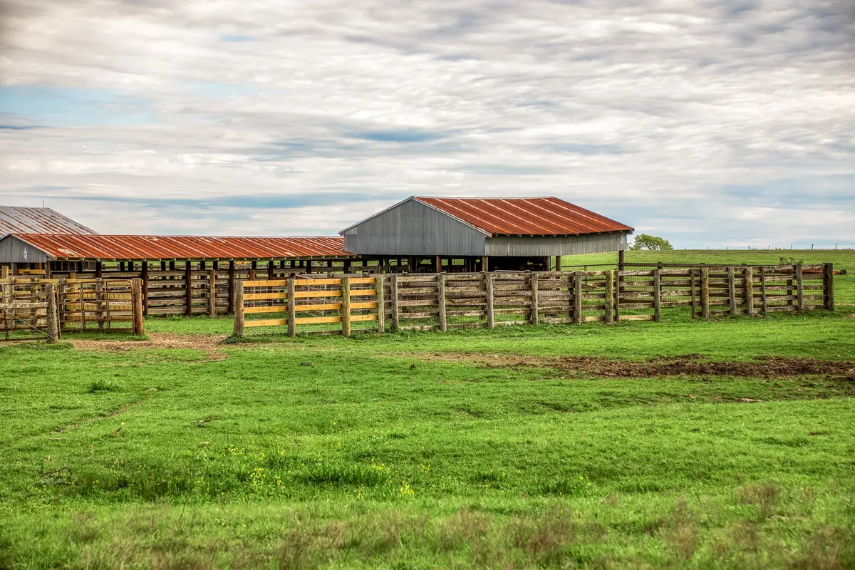 9502 Seward Plantation Road, Brenham, TX 77833 - #1