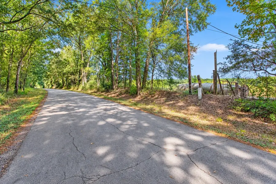 22.4 Acres Bailey Grove Road, Montgomery, TX 77356 - #3