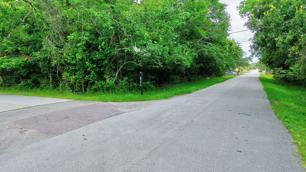 TBD Avenue H, Dickinson, TX 77539 - #1