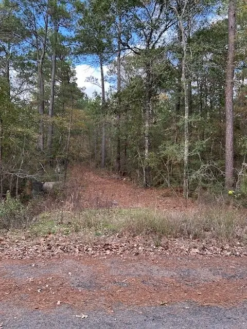 0000 Cathey Lane, Navasota, TX 77868 - #2