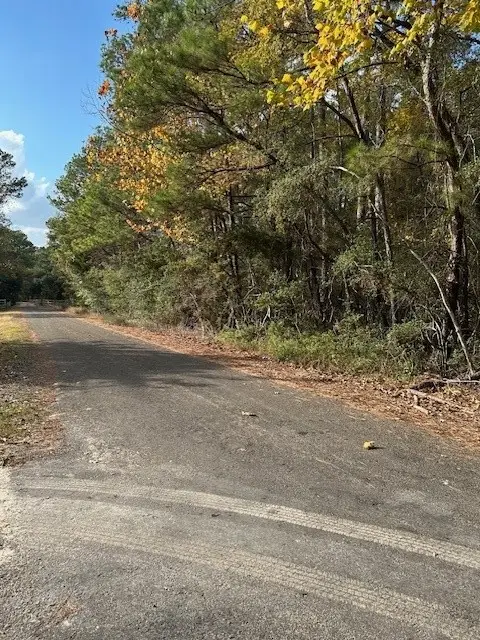 0000 Cathey Lane, Navasota, TX 77868 - #3