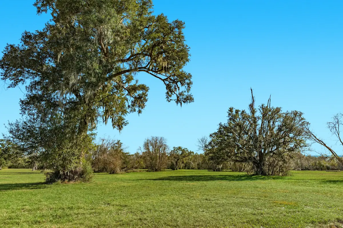 1119 Indian Ridge, Rosharon, TX 77583 - Image #1