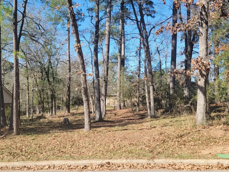 1909 Rollingwood Drive, Huntsville, TX 77340 - #3