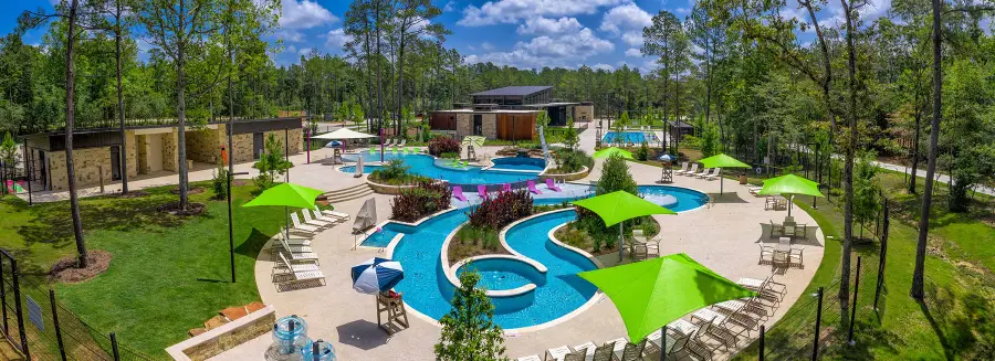 119 Arrow Wood Forest Court, Willis, TX 77318 - #3