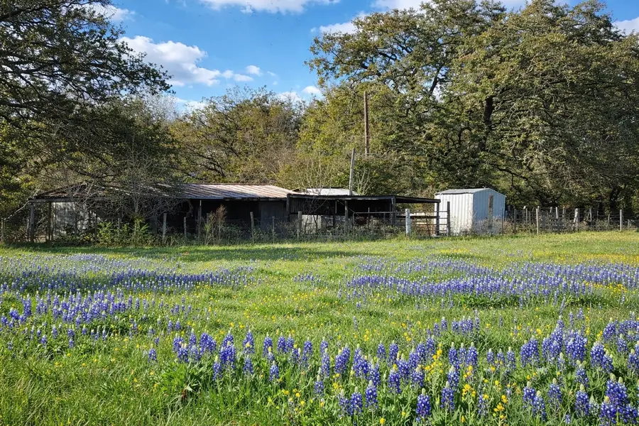 12811 E Us Hwy 79, Oakwood, TX 75855 - #3