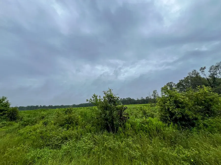 1 Fm 1276, Livingston, TX 77351 - #3