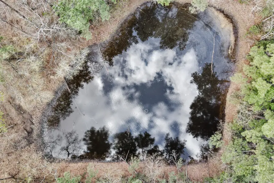 2921 Beasley Road, Conroe, TX 77301 - #3