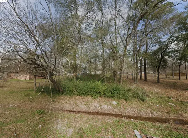 9029 Caddo Street, Houston, TX 77078